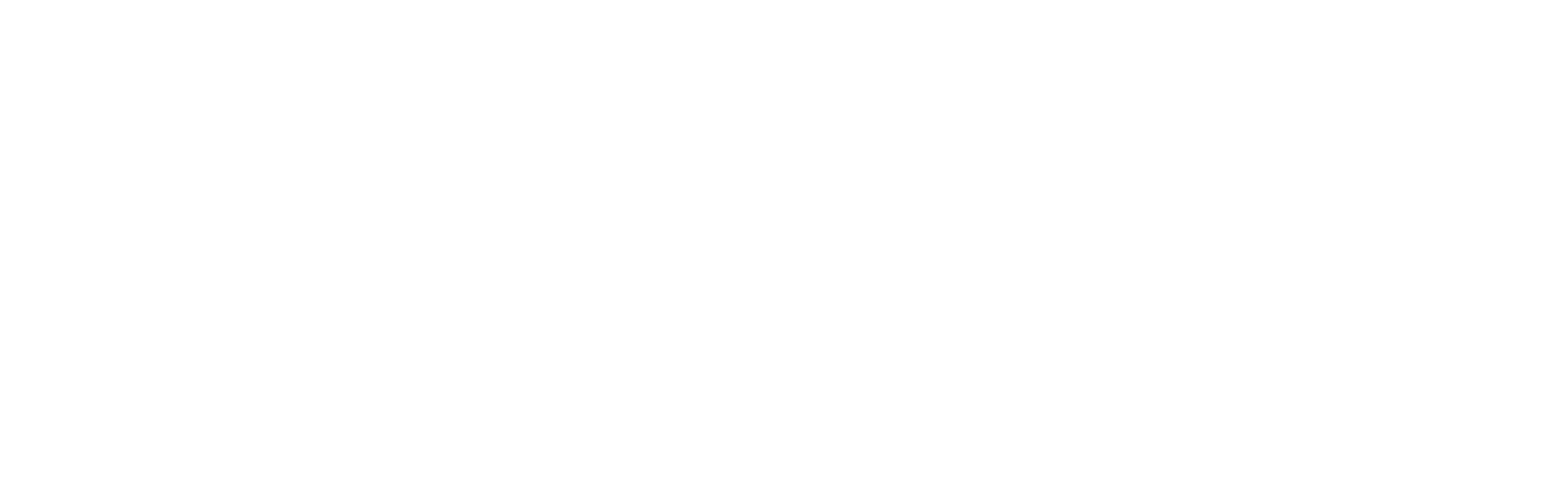 Alex Payne Logo White